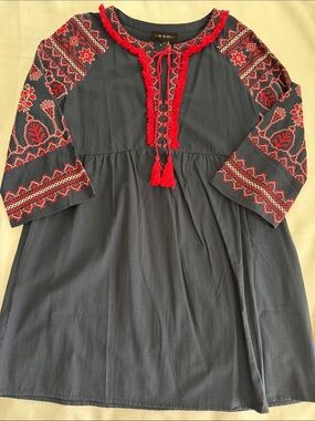Free the Roses Navy Dress with Red Embroidered Accents